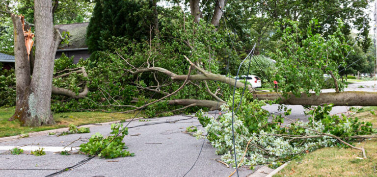 Does Home Insurance Cover Storm Damage