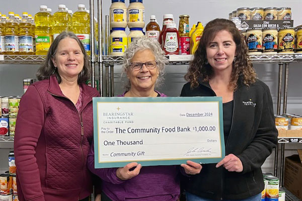 Image of Bearingstar Team with a community organization